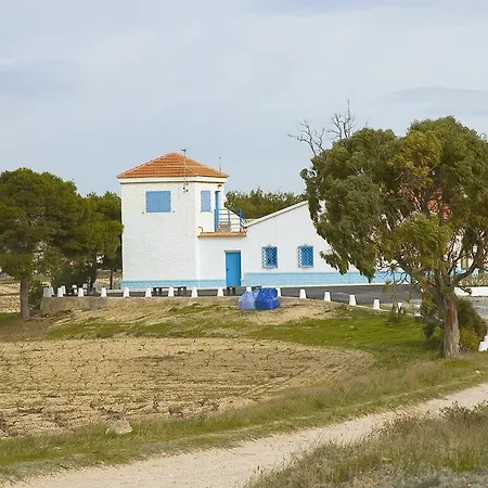 Alba