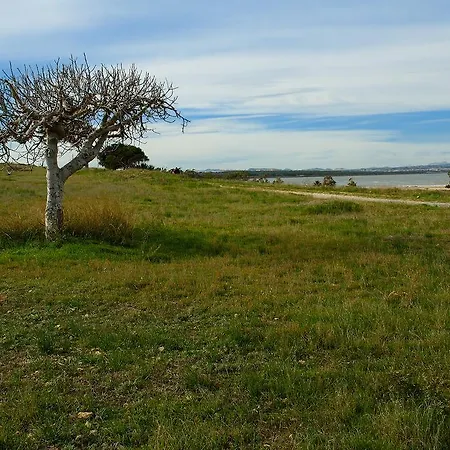 Alba Gasthuis La Mata (Torrevieja)