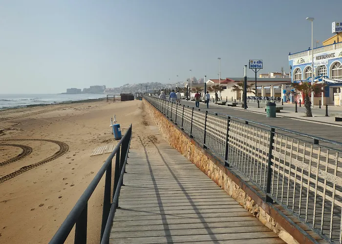 Pensionat Alba La Mata (Torrevieja)